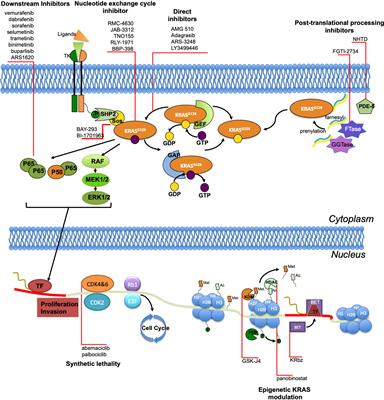 The Renaissance of KRAS Targeting in Advanced Non-Small-Cell Lung Cancer: New Opportunities Following Old Failures